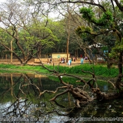 Bangladesh Natinal Zoo_30